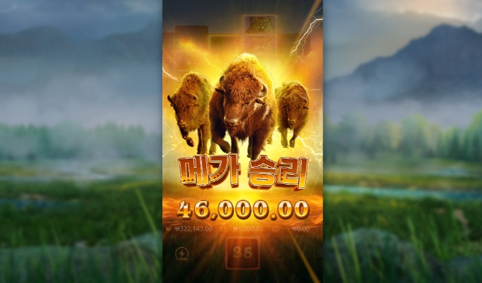 피지 버팔로 피지가 피지 했네요..