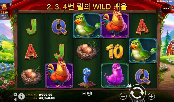 닭집 보너스는 없어진건가 ?