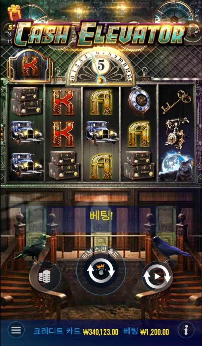 잠이안와서 또 입금해버렸네요