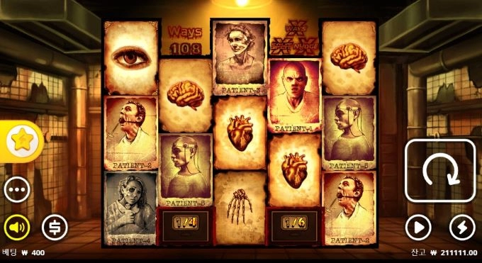 오늘은 노리밋만패기