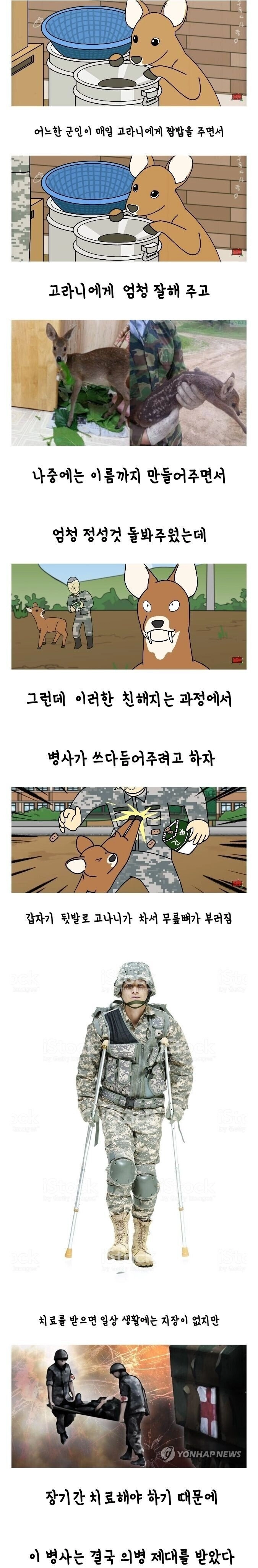 군대에서 평소 고라니한테 잘해주면 생기는 일...JPG