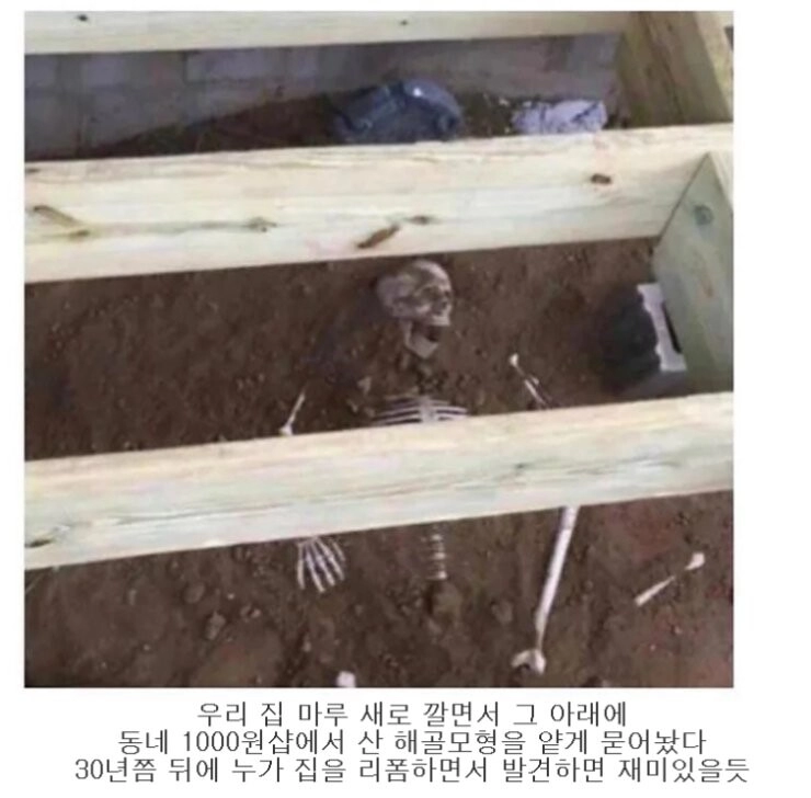 집아래 몰래 해골 숨겨둔 미국인