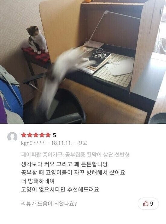 독서실 칸막이 구매 후기