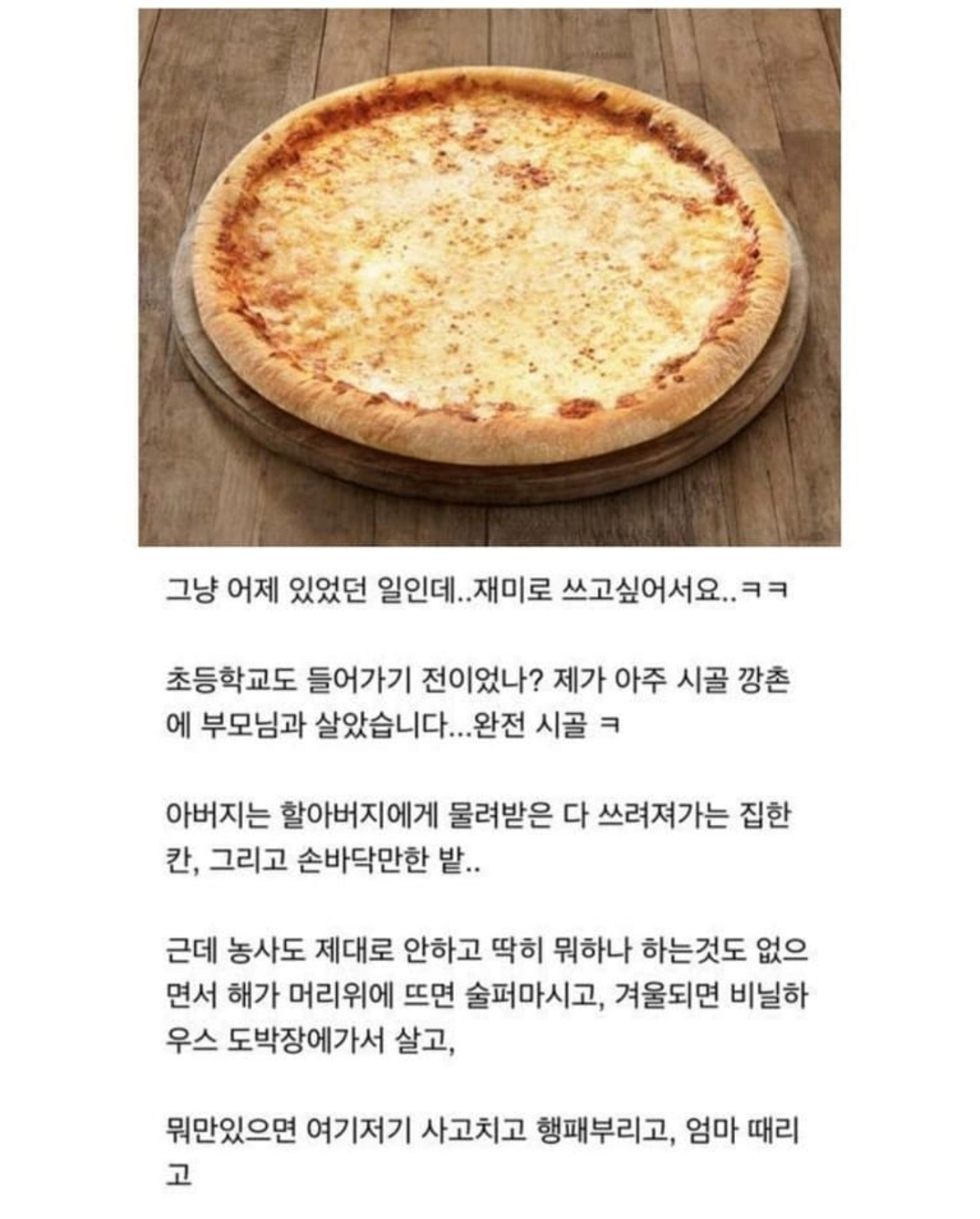 가난했던 시절 먹은 치즈피자를 최근에 다시 먹은 썰