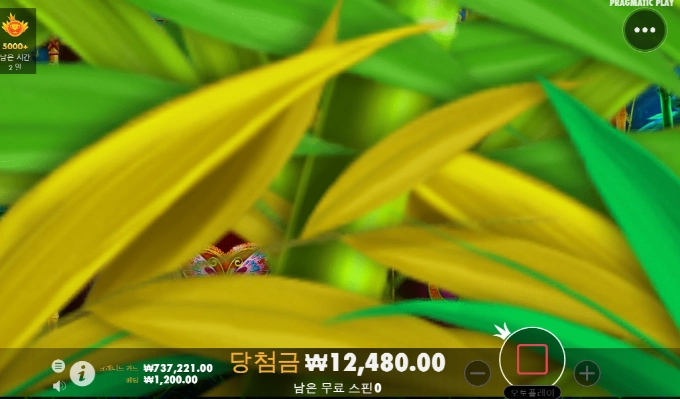 판더 요즘 완전 이상해졋네~