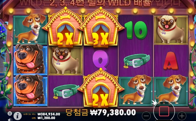 개들아 산책이나 가자....소소하니 좋구나..