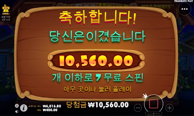 개집도 예전같지 않고..슬프다.