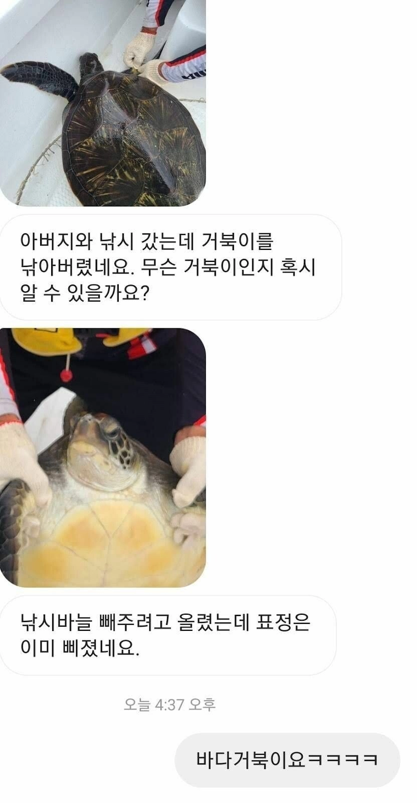 아버지와 낚시 갔는데 거북이를 낚아버린 사람.jpg