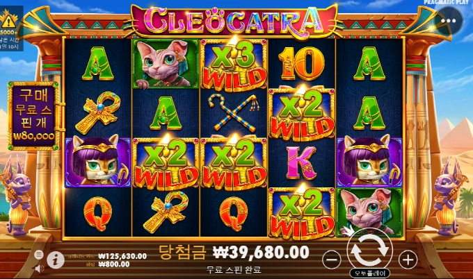 캐트라 산책이 아쉽구나...