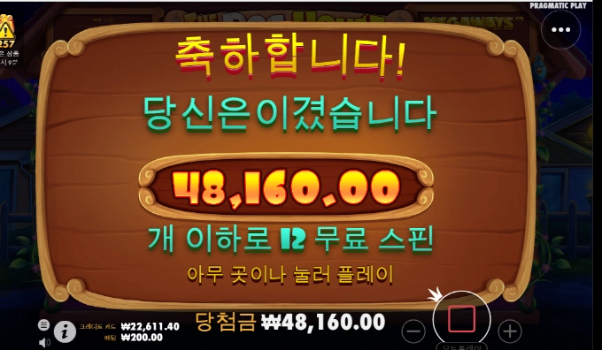 개집 오링 ㅠㅠ