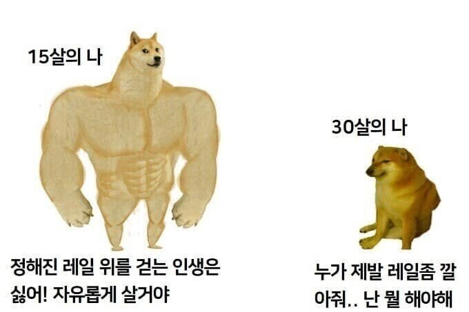 15살 vs 30살.jpg