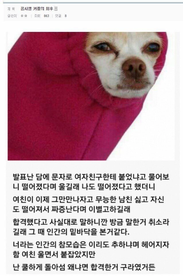 공시생 커플의 최후jpg