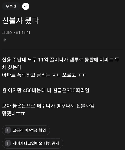 동탄에 11억 영끌 갭투하다 신불자행