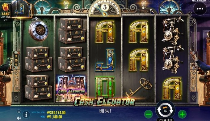 강남파티 새벽반 2차출