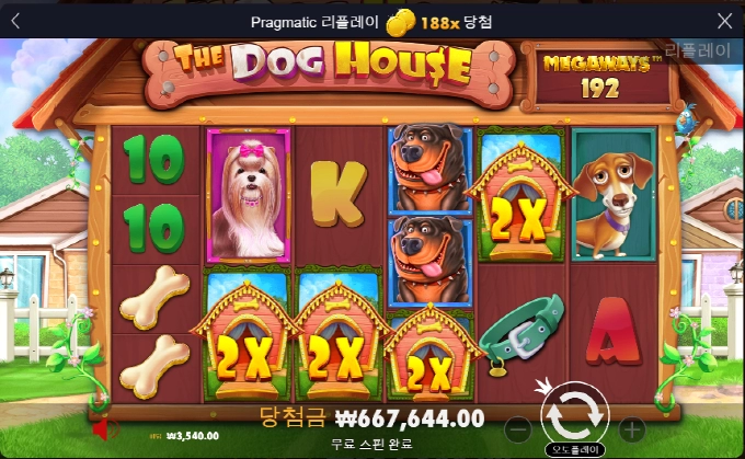 개집 오랜만에 먹는다 아~~~후!!