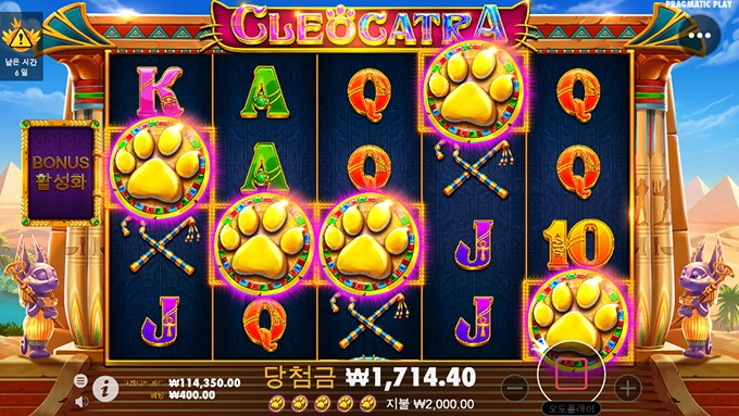 스캐터 5개!!!!!!