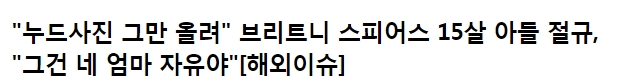 '누드사진 그만 올려' 브리트니 스피어스 15살 아들 절규