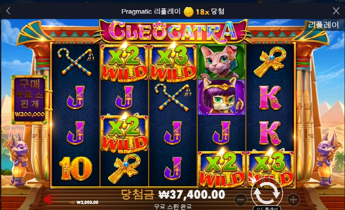 와 진짜 고냥이 드럽네!