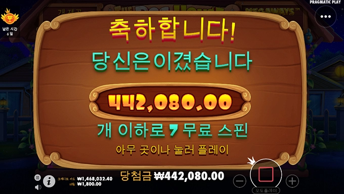 오늘은 슬롯사이트 맥스윈에서 강아지 산책 시켰네요