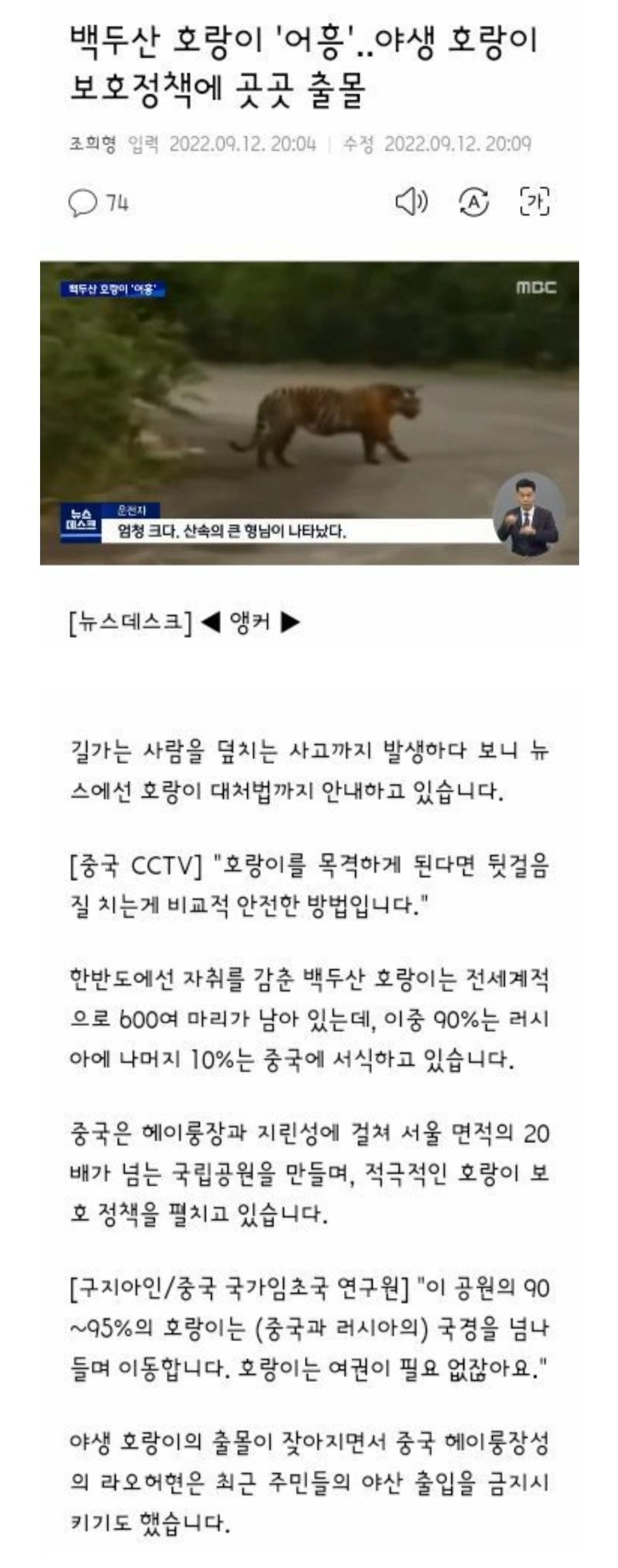 개체수 엄청 늘고있는 백두산 호랑이들