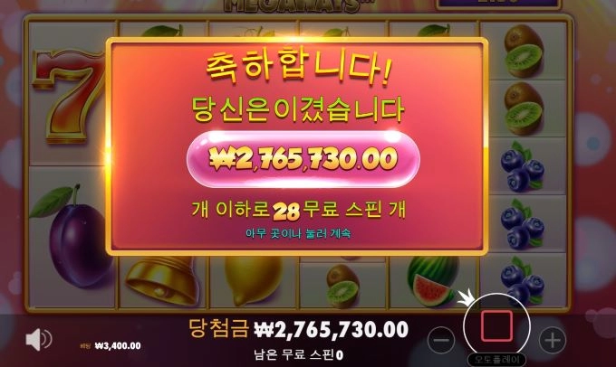 갬블 샷 배당 샷