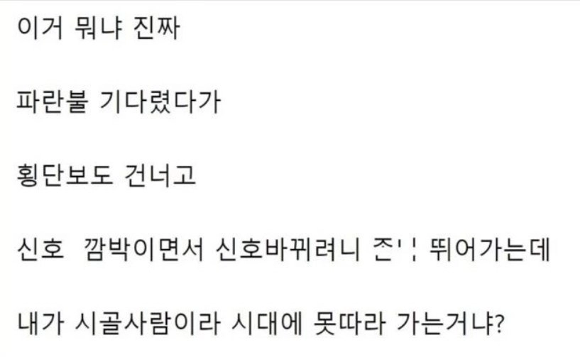 서울 개들은 원래 횡단보도로 다니냐?