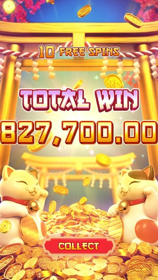 우드슬롯사이트 후기