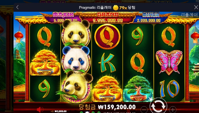 판다들 죄다!! 좀 혼나야것다!!!