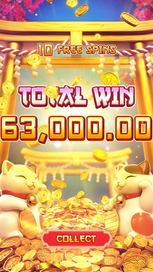 우드슬롯사이트 후기