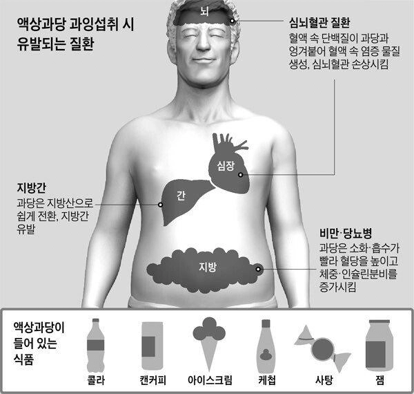 요즘 현대인들 비만 원인 1순위