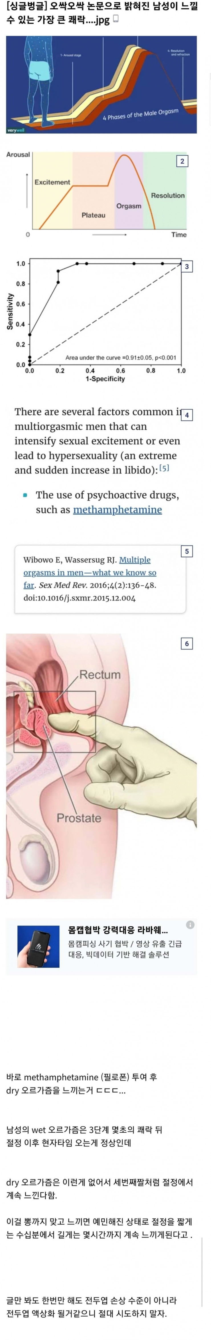 의사피셜 남성이 느낄 수 있는 가장 큰 쾌락