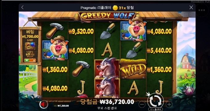 늑대 안주기 시작하네 ㅡㅡㄱ