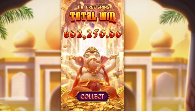 우드슬롯사이트 피지소프트 후기