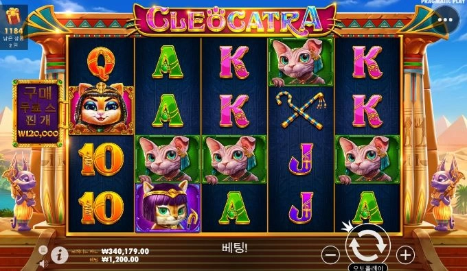 할일은 다 했고