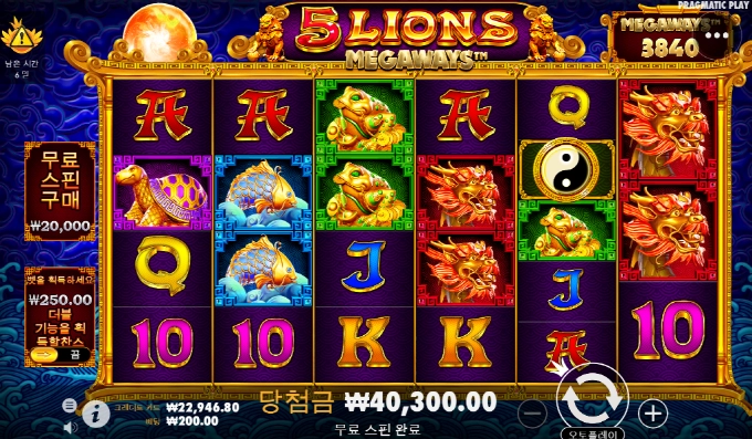 프라그마틱 오라메 이것들 너무하네!!!