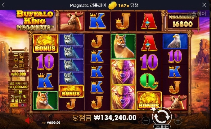 버팔로 재미지게 놀다갑니다!