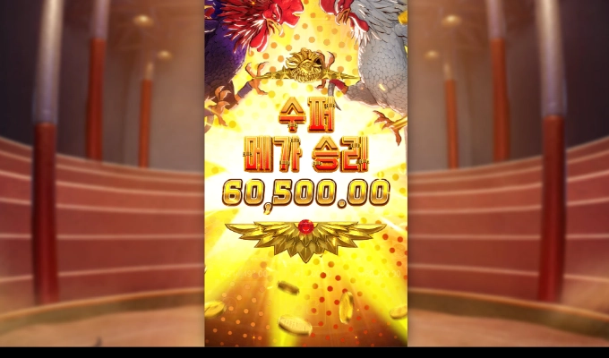 피지 닭소리 시원하게 한번 줄것 같은 그림인데 안주네..