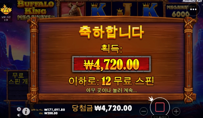 버팔로 메가 이 아름다운 금액은 모지?