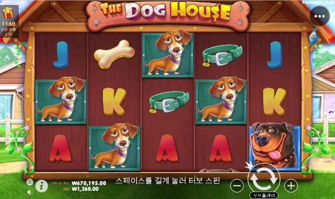 오랜만에 도그하우스