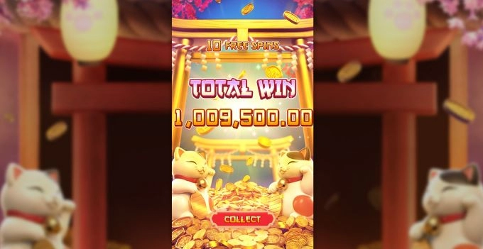 우드슬롯사이트 리뷰