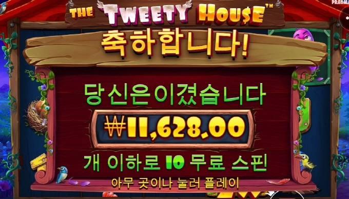 미친 닭새끼들!