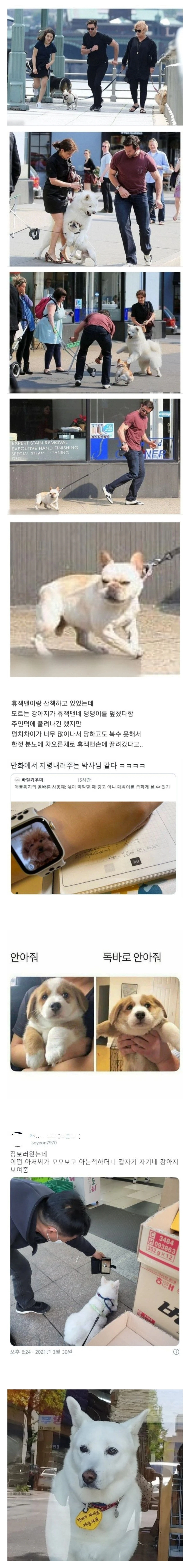 산책왔는데 강아지랑 싸웠어 진짜짜증나