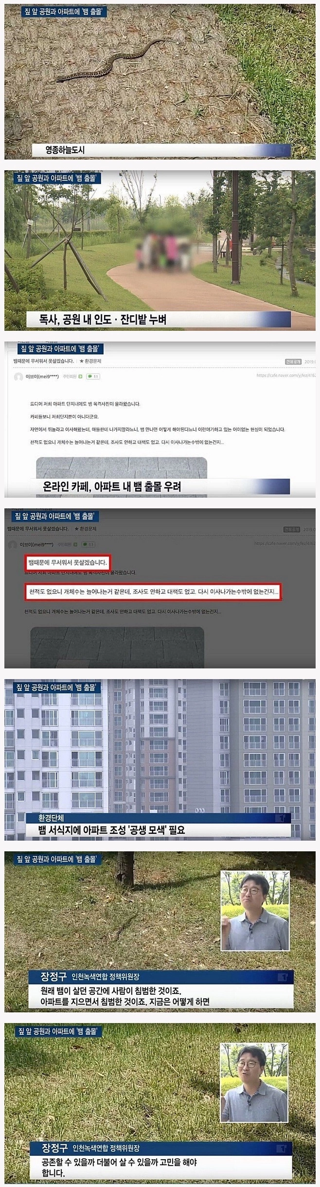 독사가 나오는 아파트... 대처법...