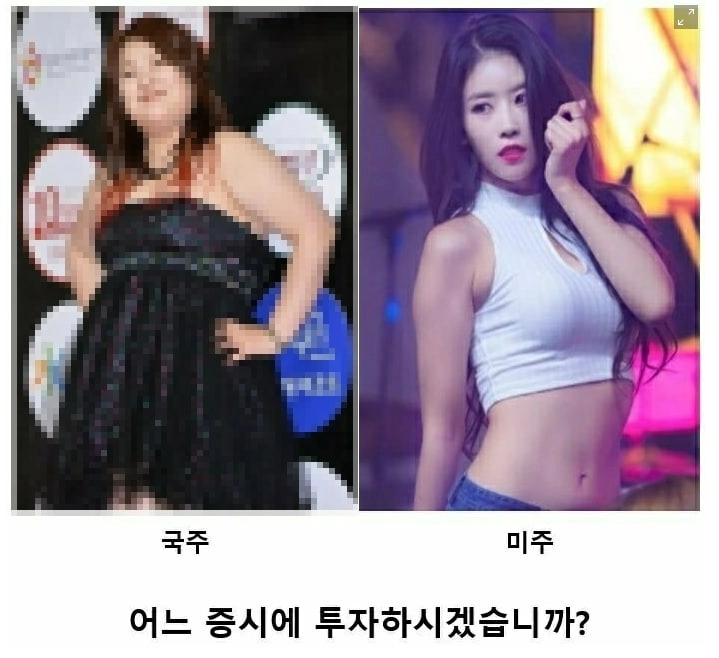 한국 우량주 장기투자 결과