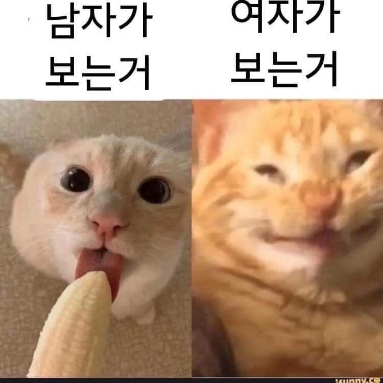 남자, 여자 시각 차이.jpg