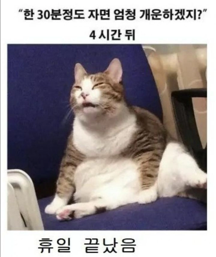 일요일 낮잠의 위험성