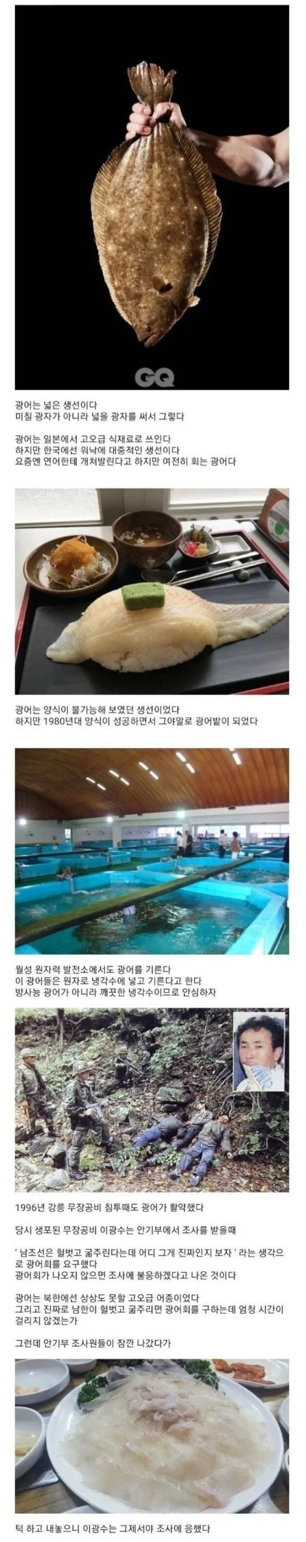 무장공비도 한수 접고 가는 광어회ㅋㅋ.jpg