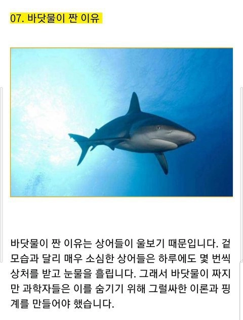 과학자들이 속이고 있는 바닷물이 짠 이유.jpg