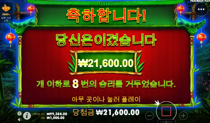 아침부터 판다 이거를 어쩌냐!!