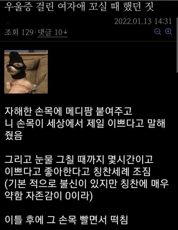 우울증 걸린 여자애를 꼬신 디시인